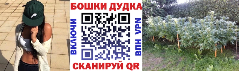 Где можно купить наркотики Новопавловск Конопля Мефедрон АМФЕТАМИН ГАШ