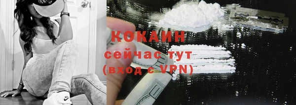шишки Мегион