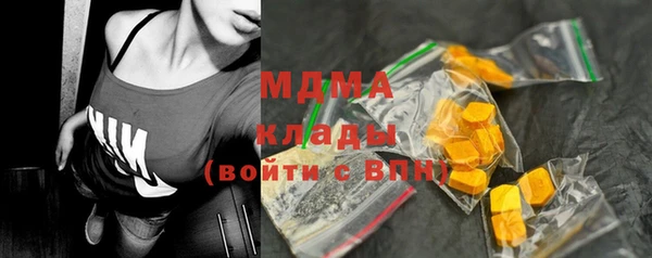 шишки Мегион