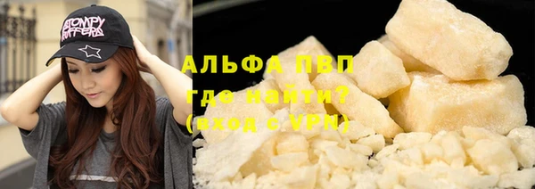 шишки Мегион
