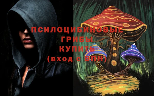 дурь Михайловск