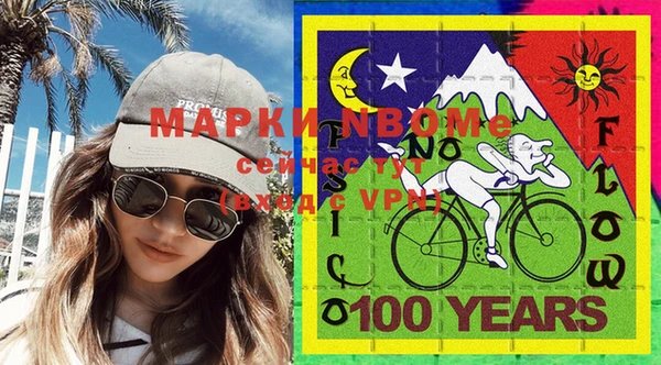 шишки Мегион