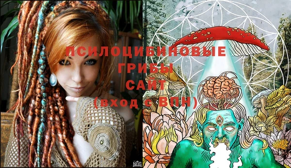 шишки Мегион
