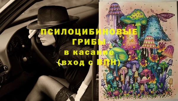 дурь Михайловск