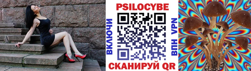 Псилоцибиновые грибы Cubensis  Новопавловск 